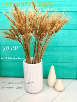 Сухоцветы пшеница для декора 50 см