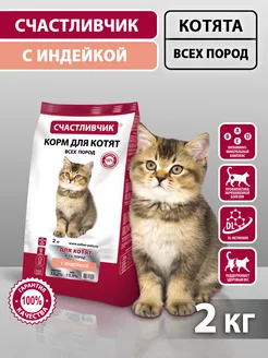 Корм для котят сухой с индейкой 2кг