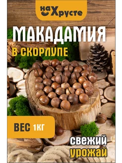 Макадамия в скорлупе 1 кг Калибр 3а