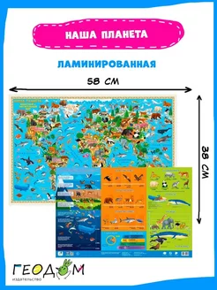 Карта двухсторонняя. Наша планета. 58х38 см ЛАМ