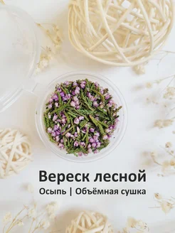 Сухоцветы. Вереск. Объемная сушка