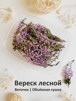 Сухоцветы. Вереск. Объемная сушка