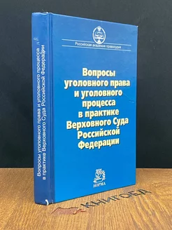 Вопросы уголовного права и уголовного процесса в суде РФ