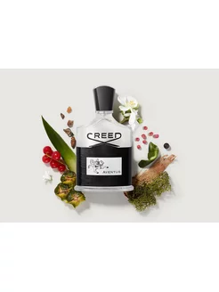 Creed Aventus духи