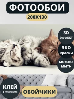 Фотообои 3D "Котята" 200х130