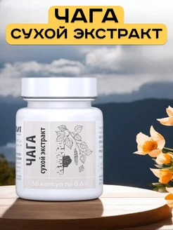 Чага сухой экстракт