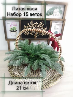 Еловые ветки для декора