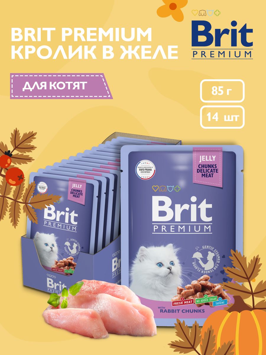 Брит для котят. Brit корм для миниатюрных собак. Брит каре корм для собак купить.