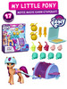 Игровой набор Пони Санни бренд My Little Pony продавец Продавец № 292089