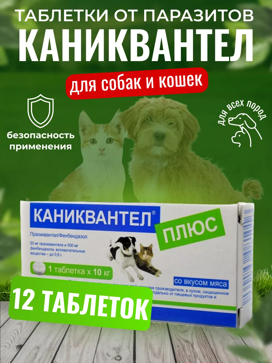 Каниквантел для кошек купить