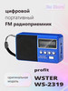 Радиоприемник цифровой карманный WS-2319 бренд Wster продавец Продавец № 1295878