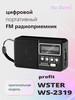 Радиоприемник цифровой карманный WS-2319 бренд Wster продавец Продавец № 1295878