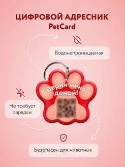 Адресник для собаки и для кошек с QR кодом и NFC