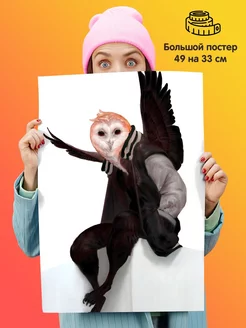 Постер Фурри Furry