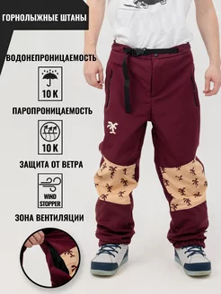 Брюки горнолыжные сноубордические зимние - Paradise Pants