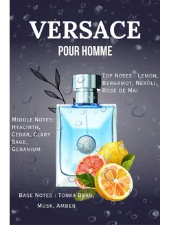 Парфюм мужской Versace Pour Homme