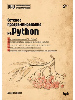 Сетевое программирование на Python