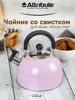 Чайник со свистком для плиты 2,5л