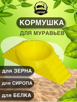 Кормушка для муравьев муравьиной фермы