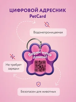 Адресник для собак и кошек с QR-кодом и NFC