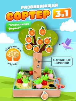 Сортер деревянный 3-в-1