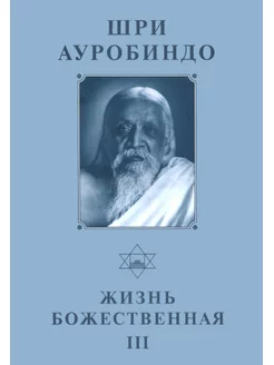 Собрание сочинений. Т.16. Жизнь Божественная — III