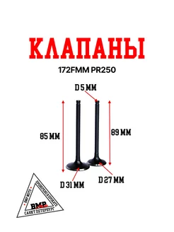 Клапаны 172FMM PR250 X-Tech