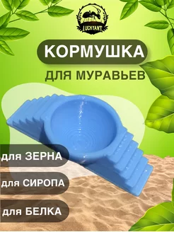 Кормушка для муравьев муравьиной фермы