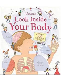 Look Inside Your Body