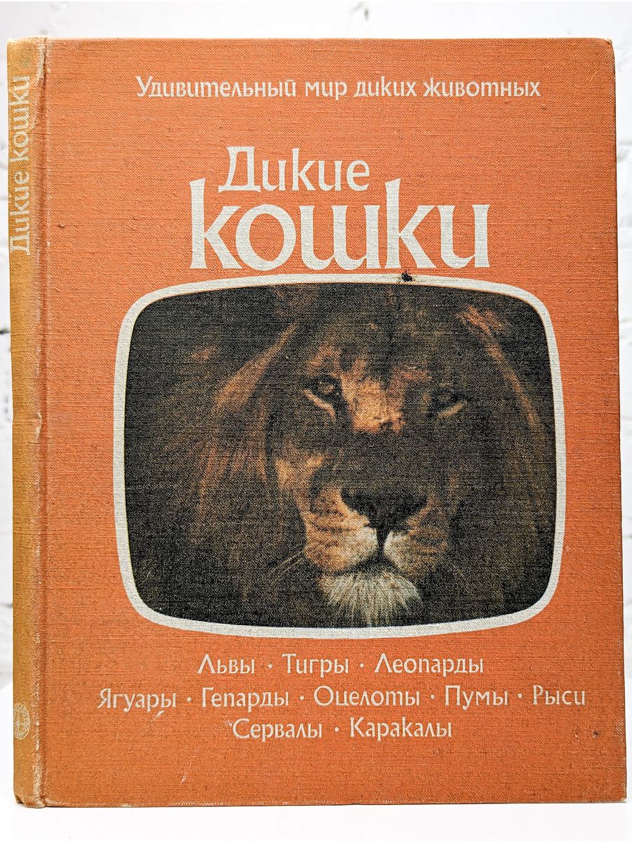 Дикая книга содержание. Дикие книга. Дикая обложка книги. Дикие кошки книга. Мир диких животных книга.