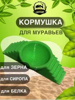 Кормушка для муравьев муравьиной фермы