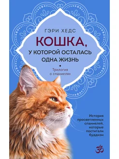 Кошка, у которой осталась одна жизнь