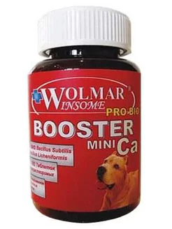 Wolmar Pro Bio Booster Mini Ca, 180 таблеток