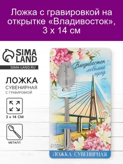 Ложка сувенирная «Владивосток», с гравировкой, 3 х 14 см