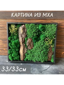 Картина из мха