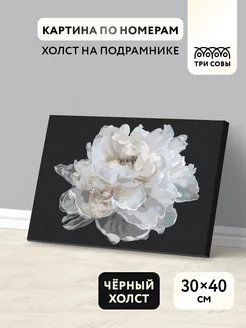 Картина по номерам 30х40 цветы