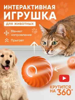 Игрушки для кошек и собак интерактивный мячик