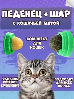 Леденец + шар с кошачьей мятой