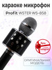 Музыкальный микрофон караоке детский Wster WS-858 бренд Ru Store продавец Продавец № 1295878