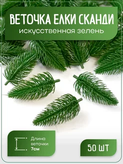 Зелень для букетов Веточки елки Сканди (50 шт.)