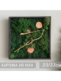 Картина из мха