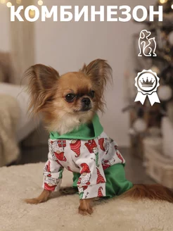 Комбинезон для мелких и средних собак
