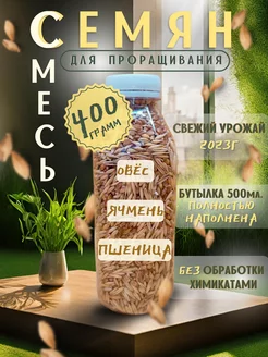 трава для кошек