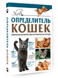 Определитель кошек. Физические характеристики и особенности