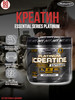 Essential Series Platinum 100% креатин 400 г (14,11 унции) бренд MUSCLETECH продавец Продавец № 879197