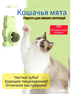 Кошачья мята