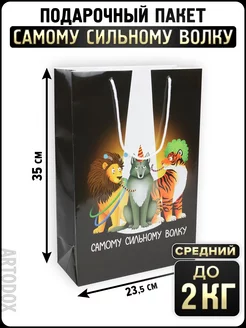 Подарочный пакет любимому папе другу, 1 шт