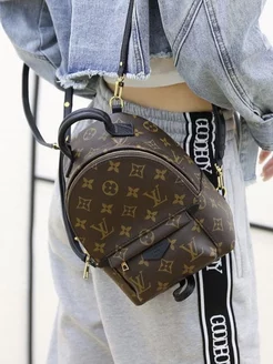 Рюкзак маленький кожаный Palm Springs Mini Louis Vuitton