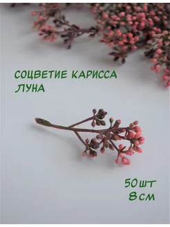 Соцветие карисса Луна