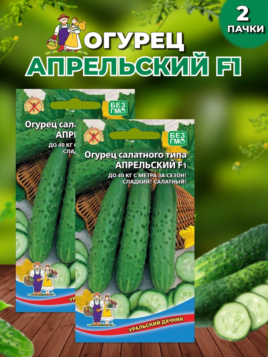 Огурец апрельский отзывы